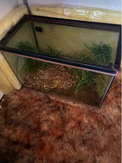 Aquarium/tank