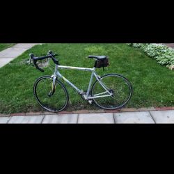 Giant Bike Gris 700x23c
