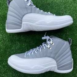 Stealth Jordan 12