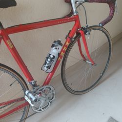 Trek Road Bike