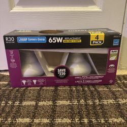 FREE 65W R30 Flood Light Bulbs - Chambers And Dartmouth 
