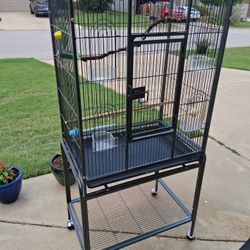 Bird Cage