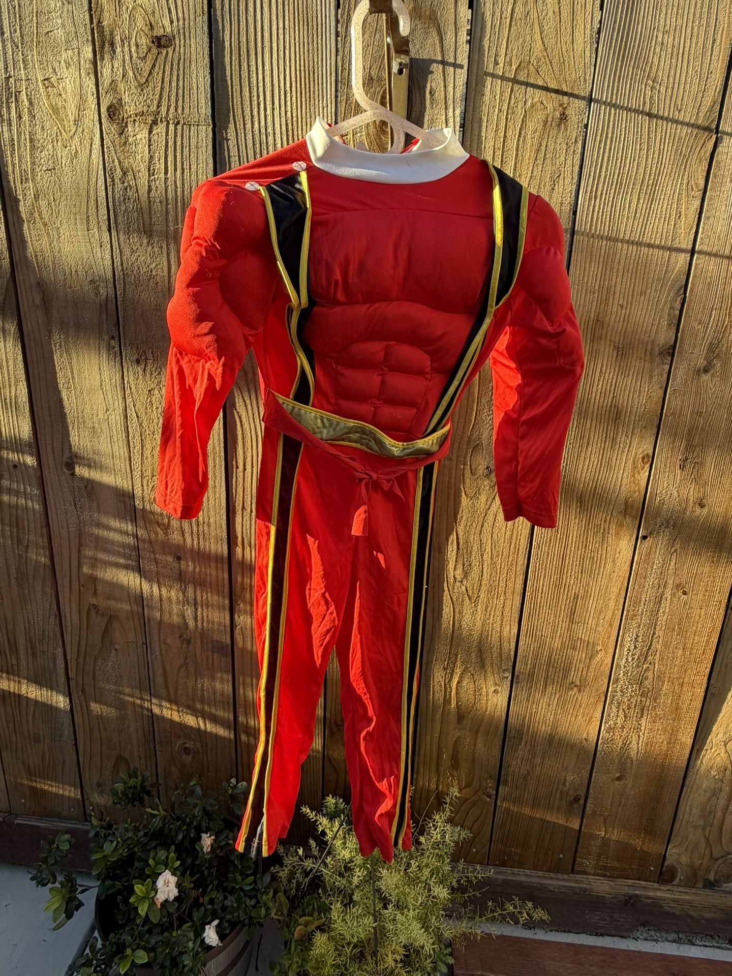 Flash Halloween Costume