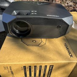 Projector - West Seattle