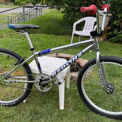 1999 Redline Cruiser BMX 
