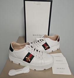 Gucci Brand New Sneaker 