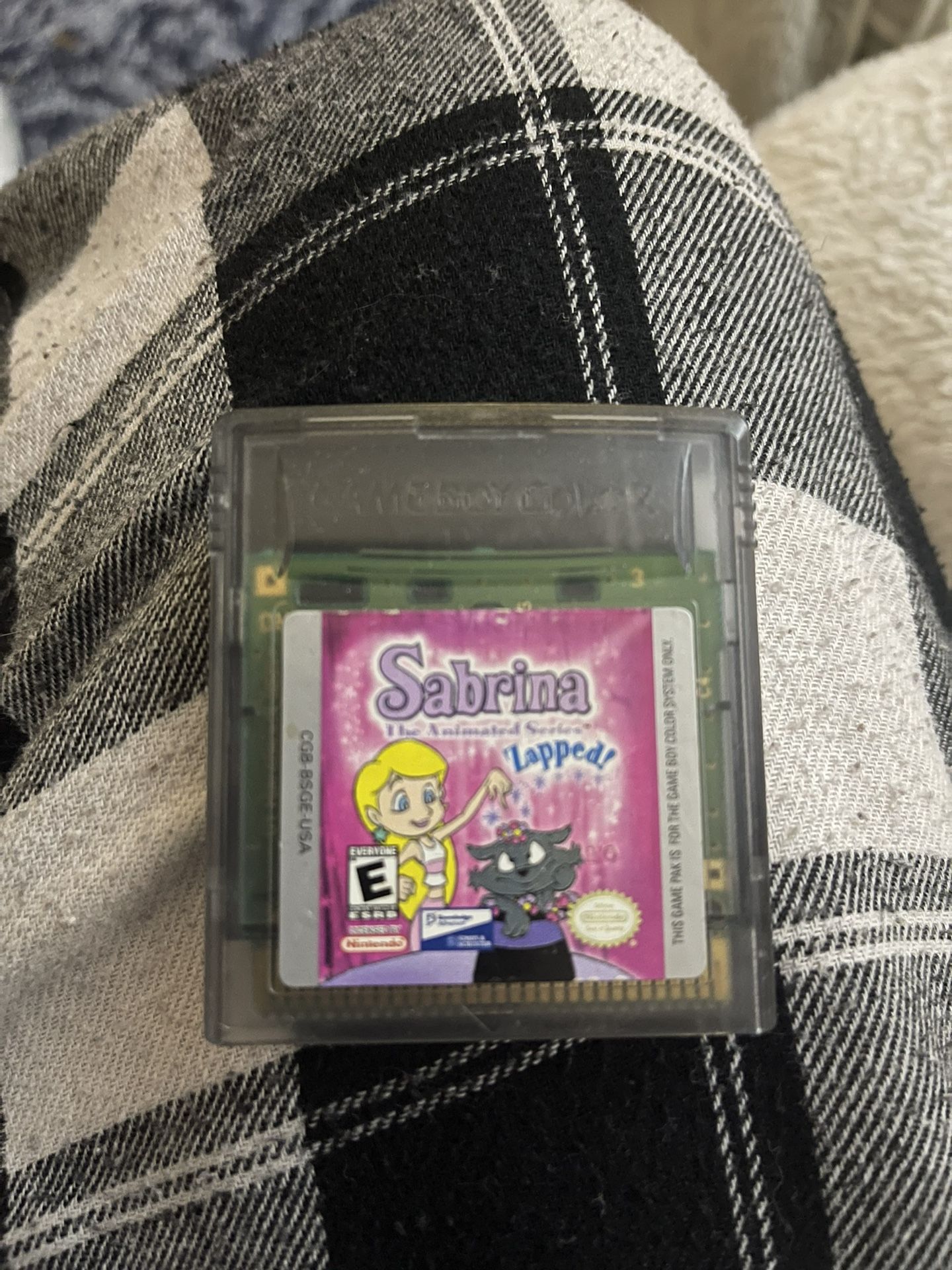 Sabrina The Animated Series Nintendo Game boy Color