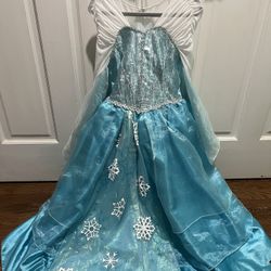 Elsa Dress Costume