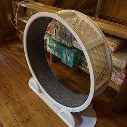 Brand New Cat Wheel