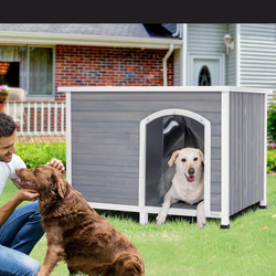 💥 wooden outdoor Winston dog house, waterproof roof and sits higher for cooler/warmer weather conditions. 💥