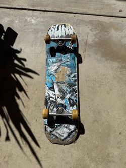 Complete Skateboard Used