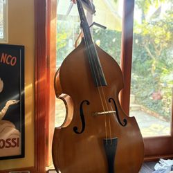 Stand Up Bass 