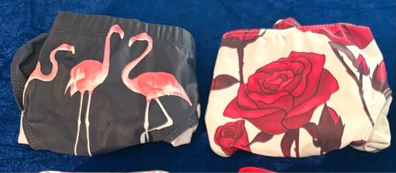 2 Speedo Swim Suit for men( Pelican: XL & Roses: XXL) (The price is $15 each )