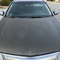 2012 Tsx Carbon Hood 