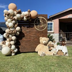 Balloons And Backdrops 