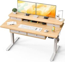 Kingant 55 X 30 Inch Electric Standing Desk With