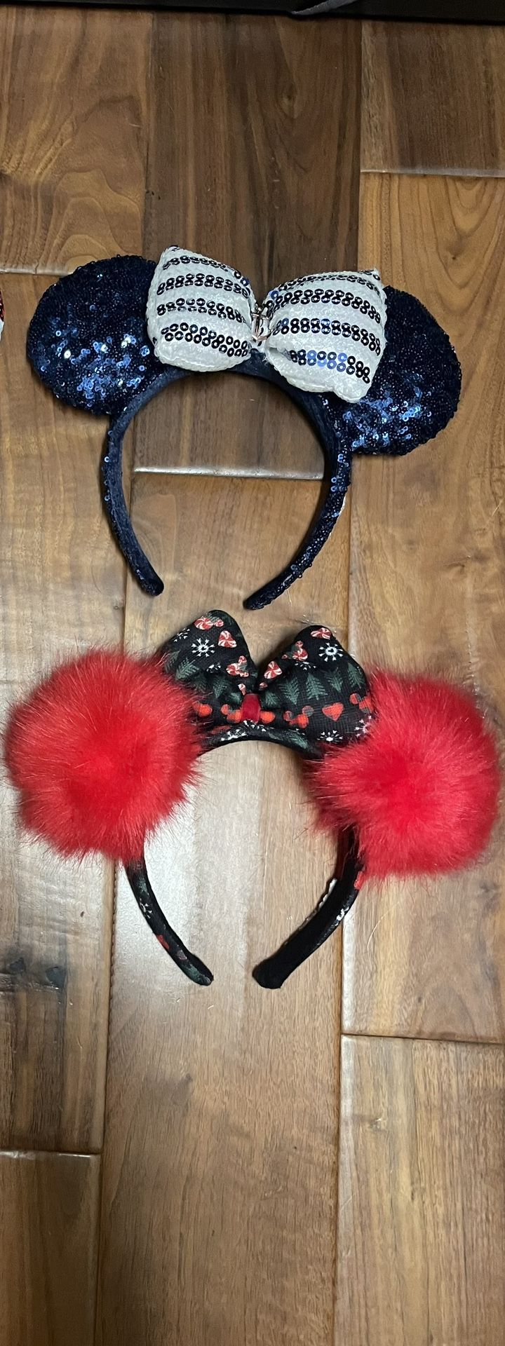 Walt Disney World Headbands