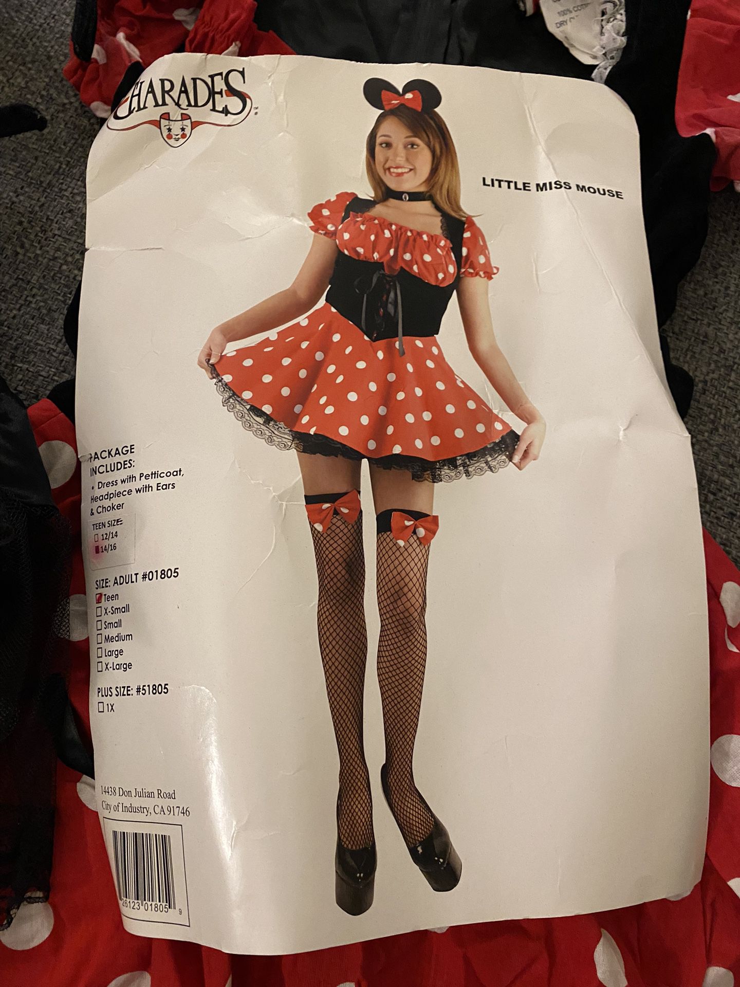 Teen Minnie Mouse Costume