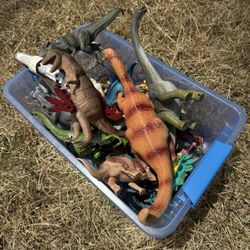 Box Full Of Dinosaurs 🦕 