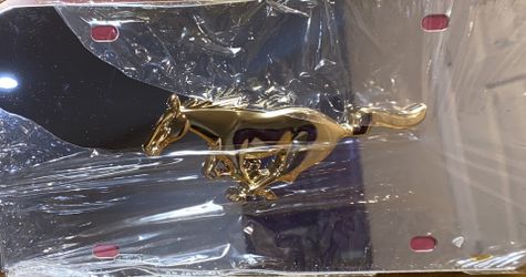 Mustang License Plate
