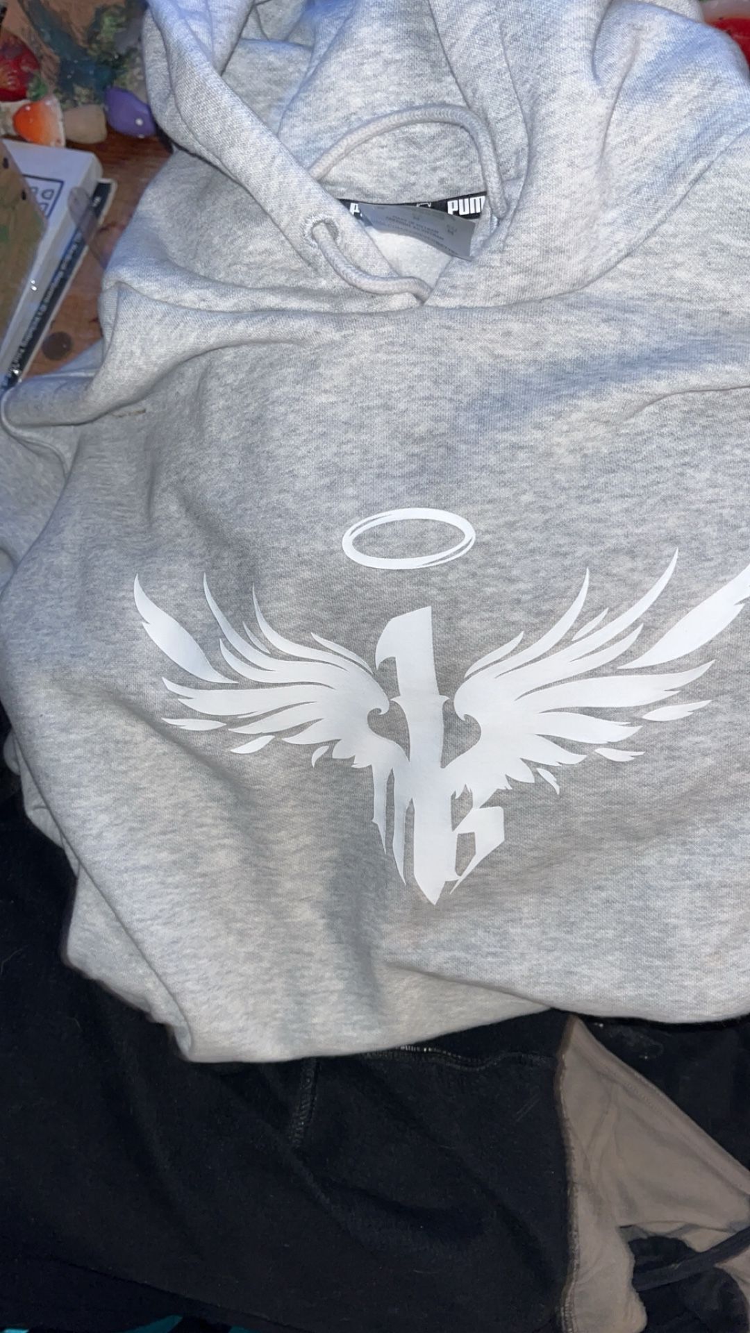 Puma Hoodie From Champs.