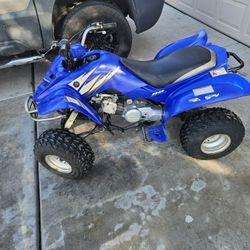 Yamaha Raptor 