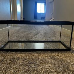 20 Gallon Enclosure