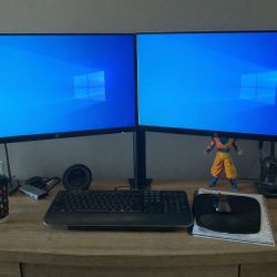 Dual Monitor Setup – 2x HP VH240a + Dual Arm Stand (Great Condition)