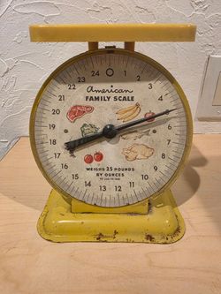 Vintage American Family Scale 25 lb