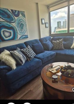 Blue sofa brand new plus contents of apt