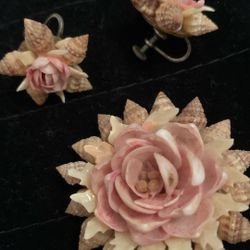Seashell Clip On Earrings And Brooch