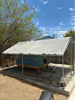 Chicken coop