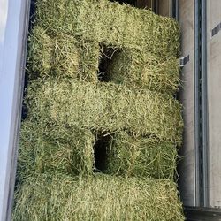 Bales Of Alfalfa/ hay/ Pacas De Alfalfa 