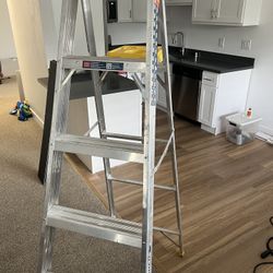 Werner Ladder 6ft, 6 Steps