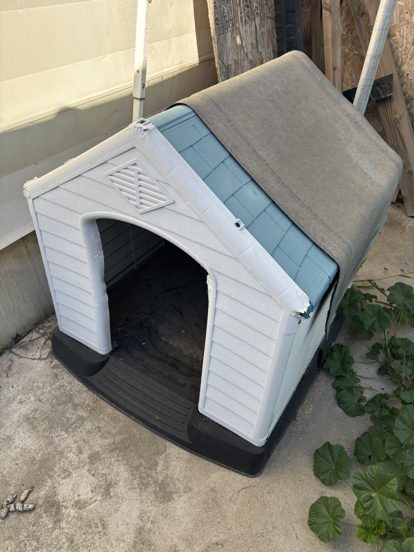 Use Dog Shed