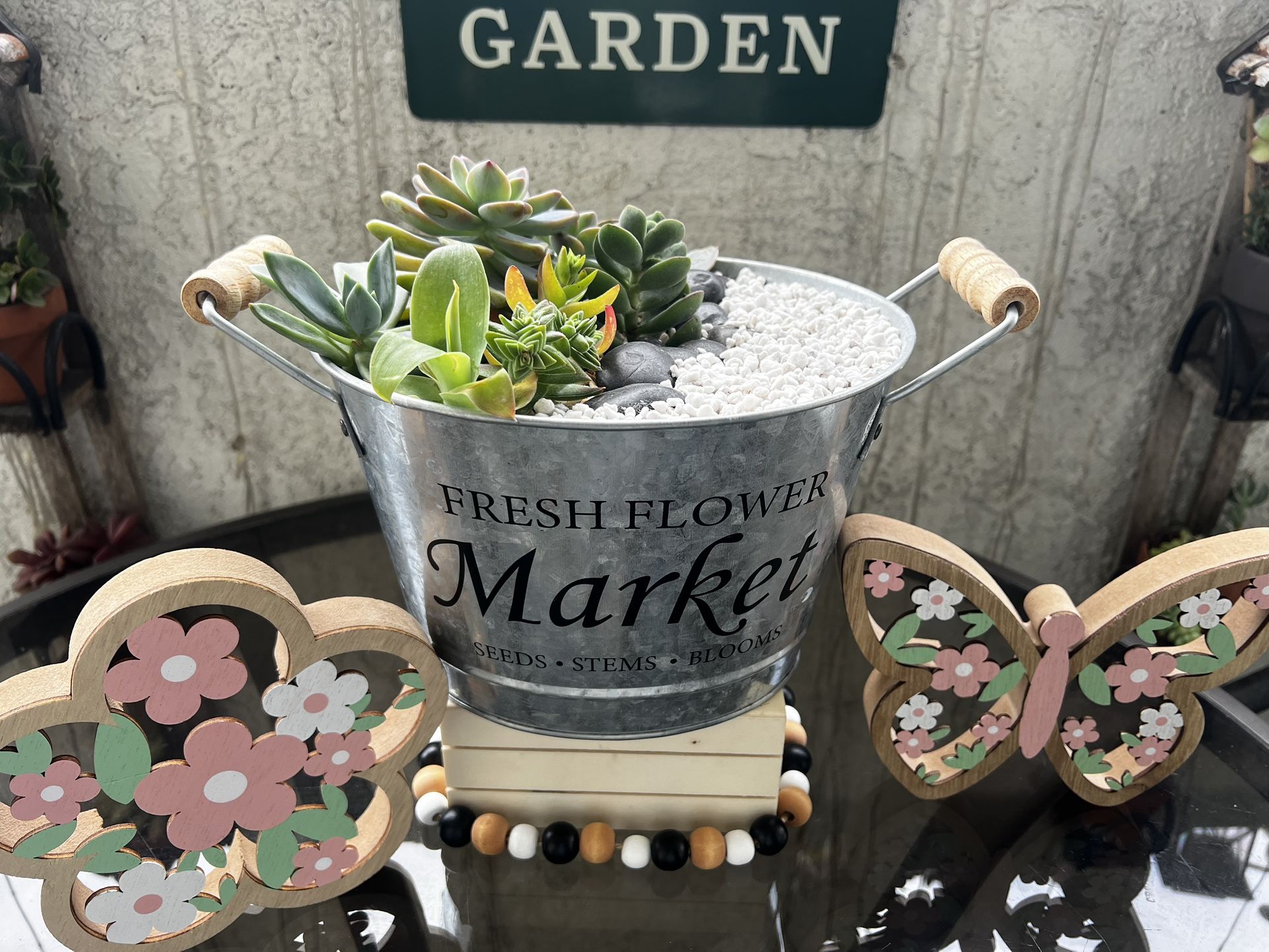 Succulent Arrangement