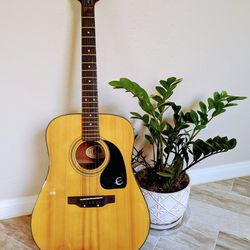 Epiphone PR-200 Acoustic Guitar Instrument