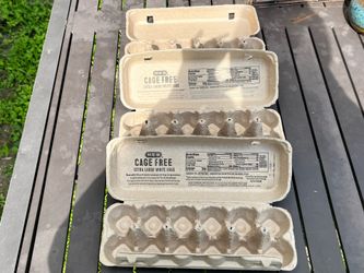 Cardboard Egg Cartons