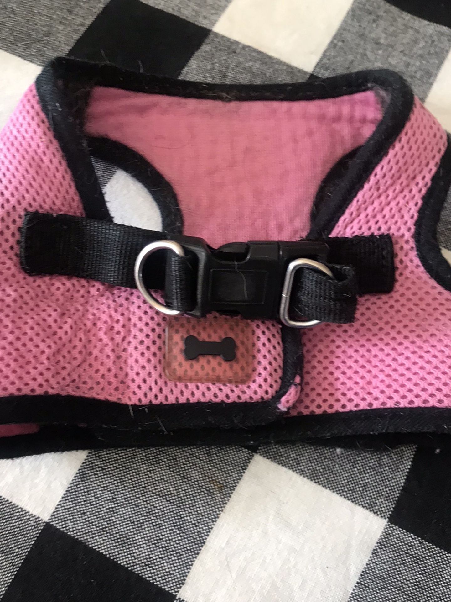 Pink Harness
