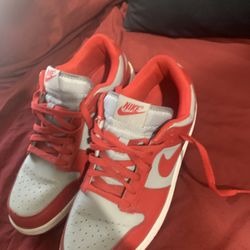 Nike Dunks 