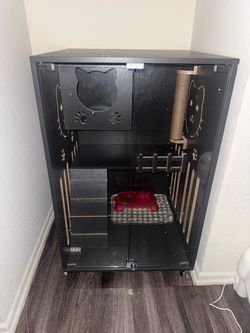 Cat home