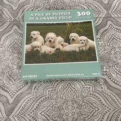 Meme Jigsaw  Puzzle  BRAND NEW