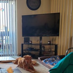 Glass TV Stand and 55in Roku TV