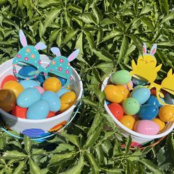 Plastic Easter eggs/ Huevos De Plástico Para Pascua