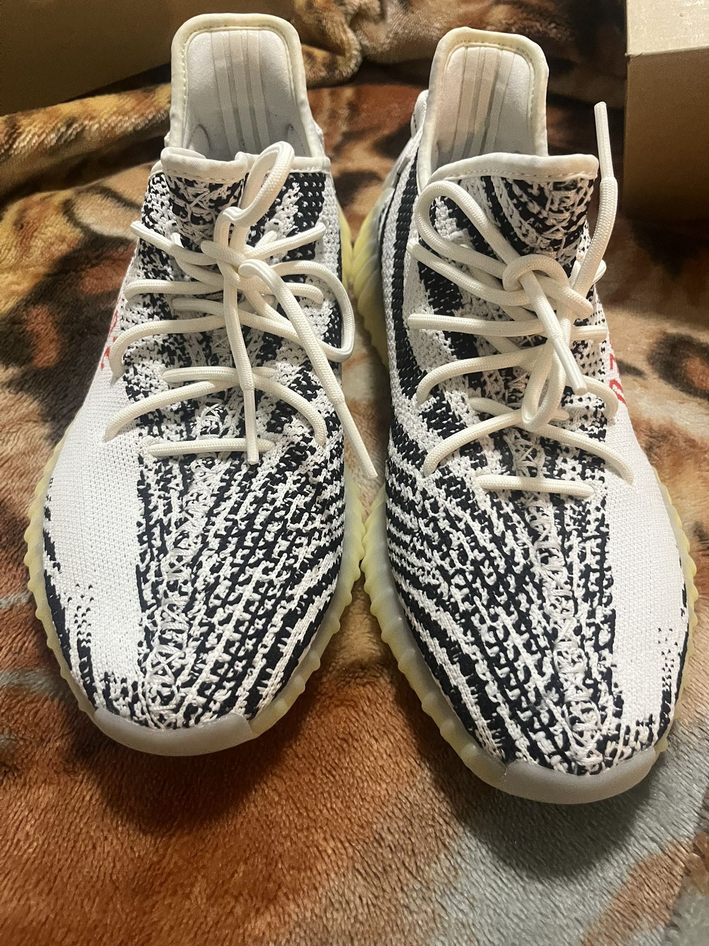 Yeezy 350 Zebra Size 10 display picture 1