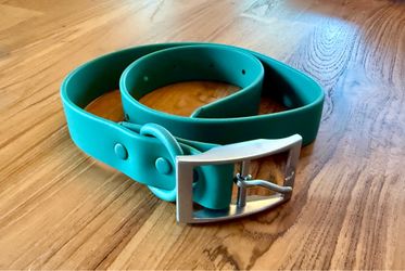 Wild One Dog Collar - Sage Green - XL