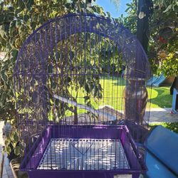 Bird  Cage 