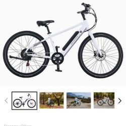 1 Year  Old DENAGO CITY BIKE 1 / Don't Pay New TARIFFS on Lithium  Batteries Or Make Me An Offer