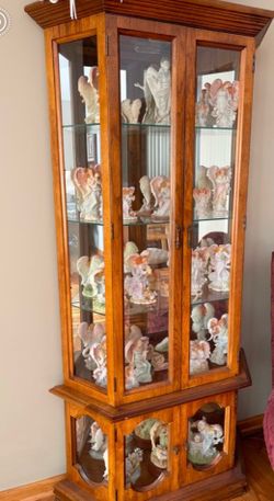 Lighted Curio Cabinet