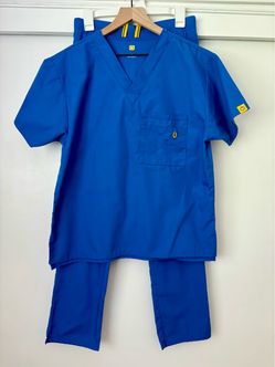 LIKE NEW WonderWink Scrub Set